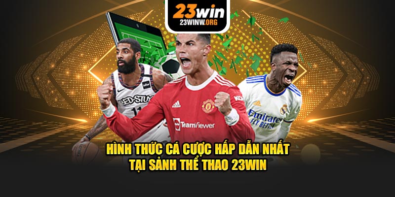 Hình thức cá cược cuốn nhất tại sảnh thể thao 23WIN