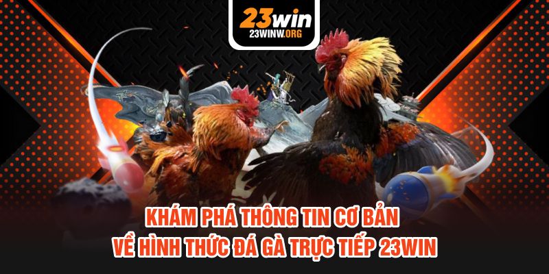 khám phá thông tin cơ bản về hình thức đá gà trực tiếp
