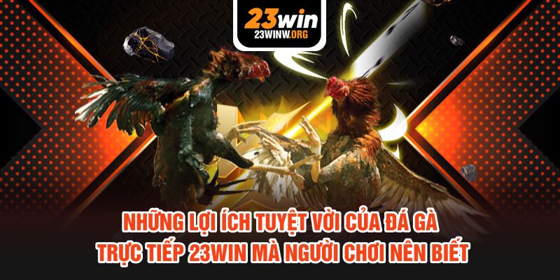 Những lợi ích tuyệt vời của đá gà trực tiếp 23WIN mà người chơi nên biết
